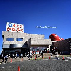 17位のイメージ