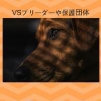 389位のイメージ