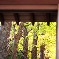 27位のイメージ