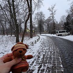 30位のイメージ