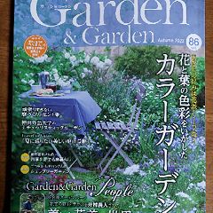 126位のイメージ