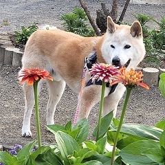 82位のイメージ