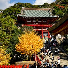 19位のイメージ