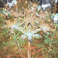 18位のイメージ