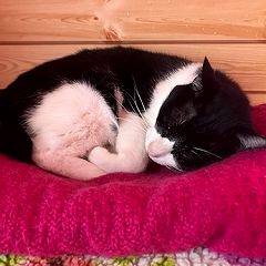 28位のイメージ