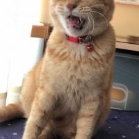 25位のイメージ