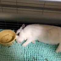 51位のイメージ