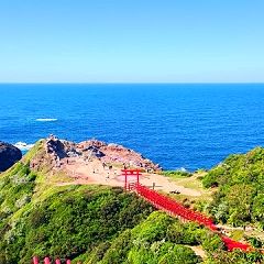 49位のイメージ