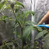 23位のイメージ