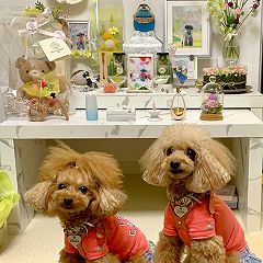 20位のイメージ