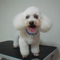 50位のイメージ