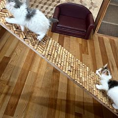 18位のイメージ