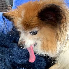 23位のイメージ