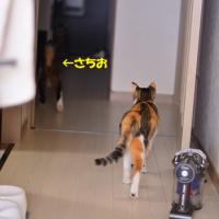 22位のイメージ