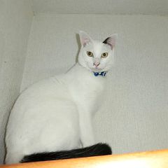 18位のイメージ