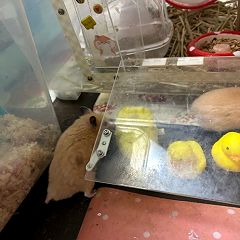 10位のイメージ