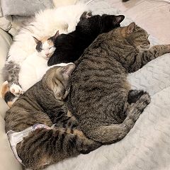 10位のイメージ