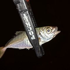 33位のイメージ