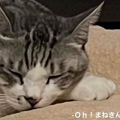 30位のイメージ