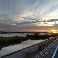 11位のイメージ