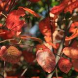 14位のイメージ