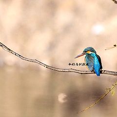 75位のイメージ