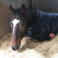 32位のイメージ