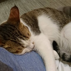 25位のイメージ