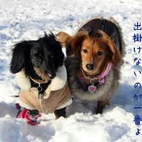 39位のイメージ