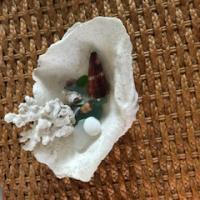 17位のイメージ