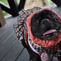 1078位のイメージ