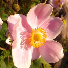 46位のイメージ