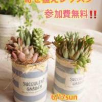 26位のイメージ