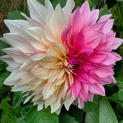 20位のイメージ