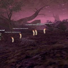 51位のイメージ