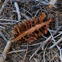 14位のイメージ