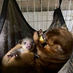 18位のイメージ