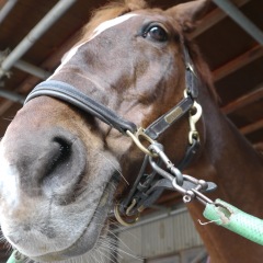 11位のイメージ