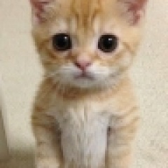 107位のイメージ