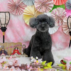 13位のイメージ