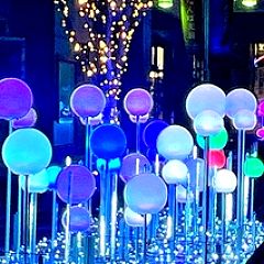 166位のイメージ