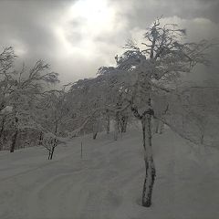 134位のイメージ