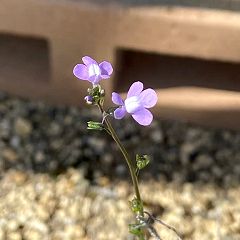 24位のイメージ