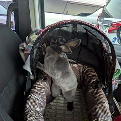 21位のイメージ