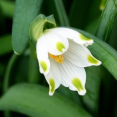 39位のイメージ