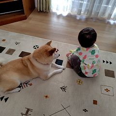 63位のイメージ