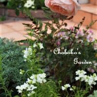 30位のイメージ