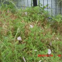 20位のイメージ