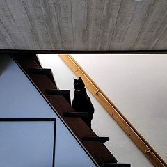 18位のイメージ