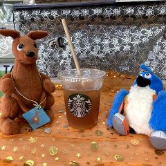 11位のイメージ